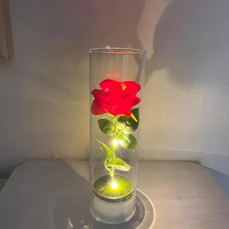 Сasa de vacaciones Rose Garden Nest - Indipendente Con Giardino, Terrazzo E Parcheggio *